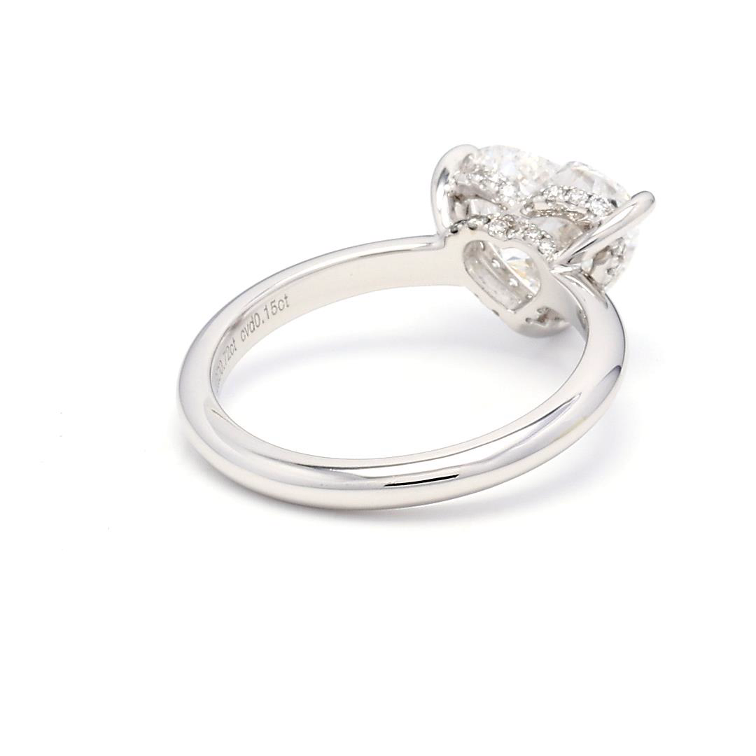 2.72ct Hailey Size 6.5 White Frame 17