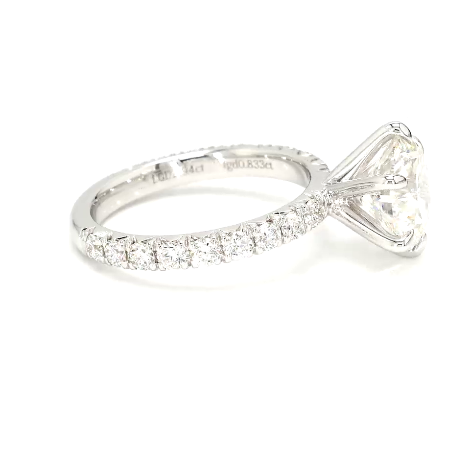 18K 2.94 ct F VS1 P177,551 White Frame 19