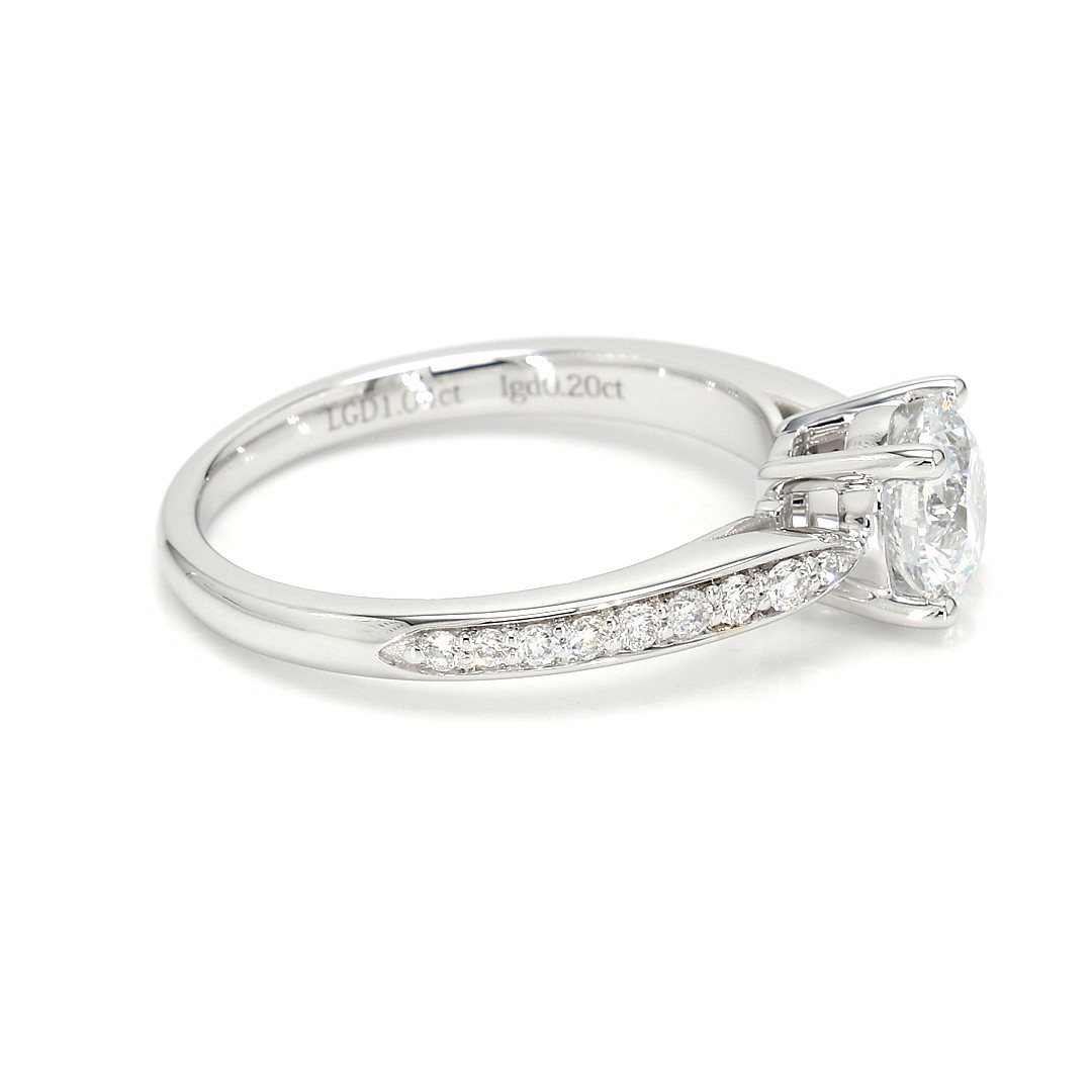 18K 1.04 ct E VVS2 P91,406 White Frame 19