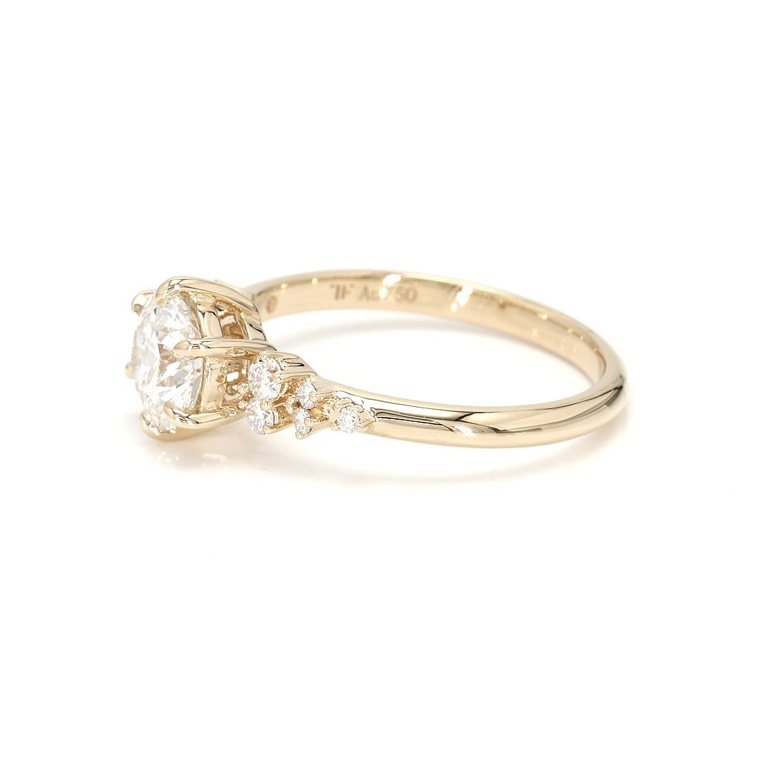 18K 1.06ct Round  Shaped Sophie Ring Yellow Frame 2