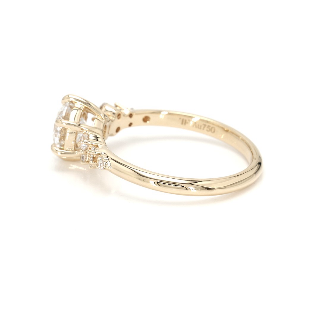 18K 1.06ct Round  Shaped Sophie Ring Yellow Frame 3