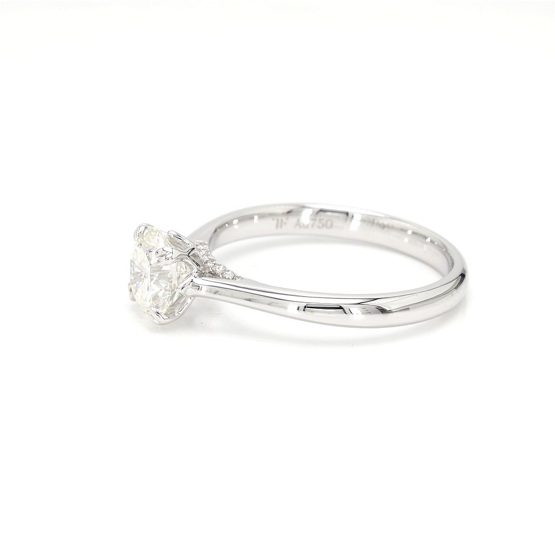 18K 1ct Round  Shaped Isabella Ring White Frame 2