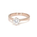 0.8ct Miel Size 5.5 Rose